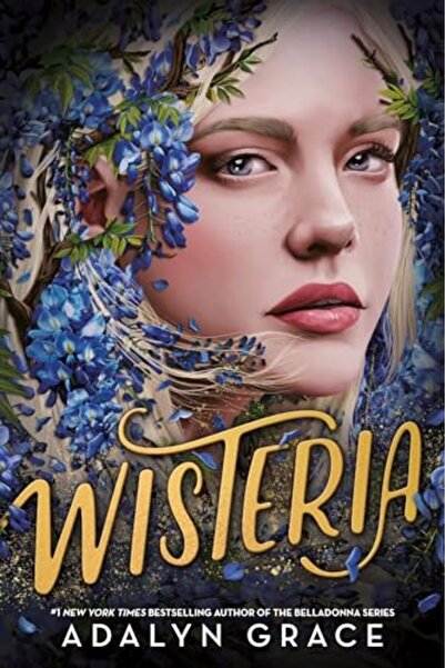 Hachette Wisteria