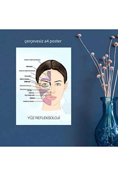 Fatofotofan Akupuntur Yüz Refleksoloji Haritası A4 Çerçevesiz Poster