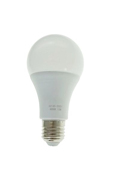 OEM Classic LED bulb E27, 12W, 4200K, 1050 lm, 220V, energy class A, neutral light