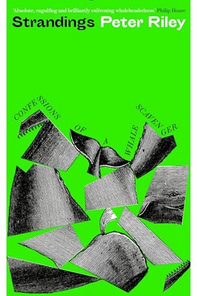 St. Martin'S Griffin The New York Times Easy Crossword Puzzle Omnibus Volume 17 200 Solvable Puzzles from the Pages of T