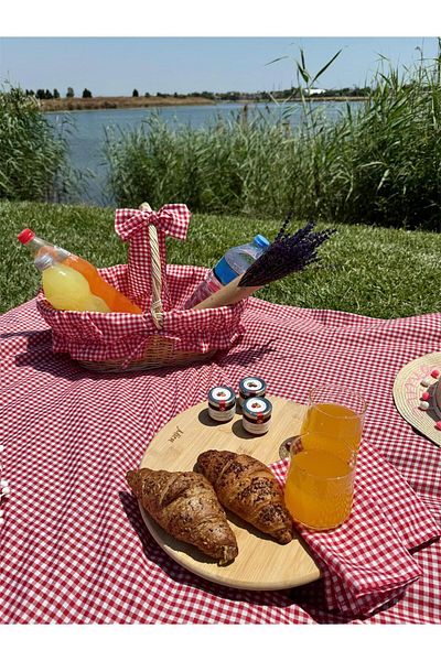 AYDER HOME 6 Piece Picnic Set with Red Gingham Wicker Basket