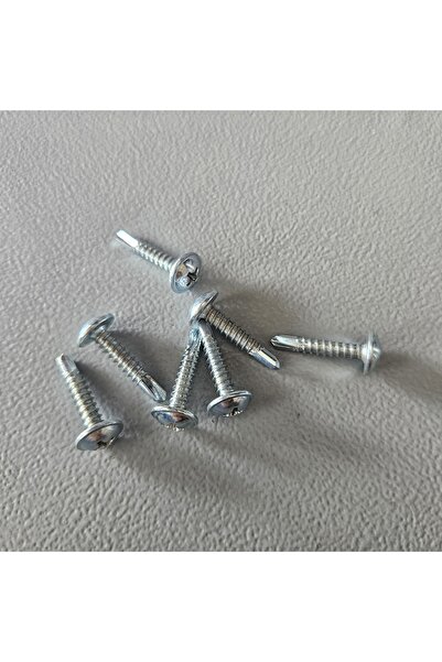 Selectron 3.9X19 YFB MUV Yıldız Pul Başlı Matkap Uçlu Vida 2500 Adet