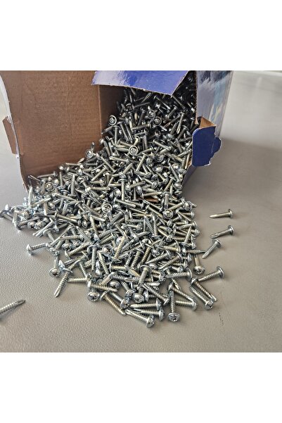 Selectron 3.9X19 YFB MUV Yıldız Pul Başlı Matkap Uçlu Vida 2500 Adet