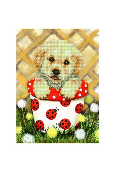 OEM Set de creatie mozaic Diamond dotz Pup In Pot