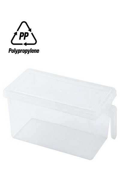 Raffine Refrigerator Food Container Box Clear 30 x 15 x 15cm