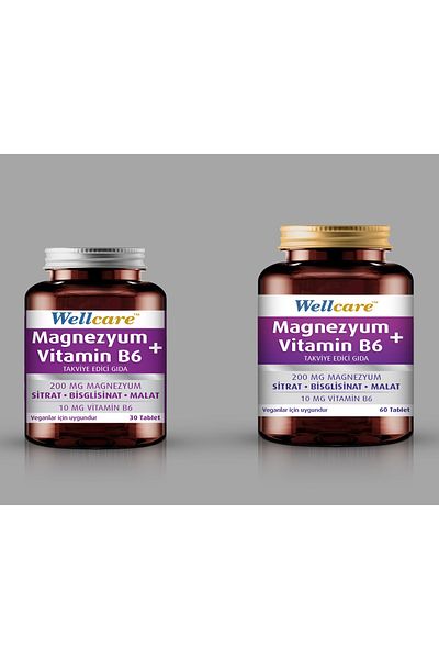 Wellcare Magnesium B6 60 Tablets