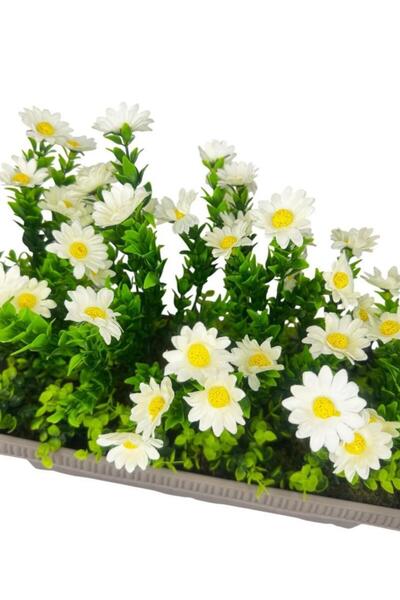 Nettenevime Yapay Çiçek Papatya Mokka Küpeşte Askılı Saksıda Balkon Çiçeği