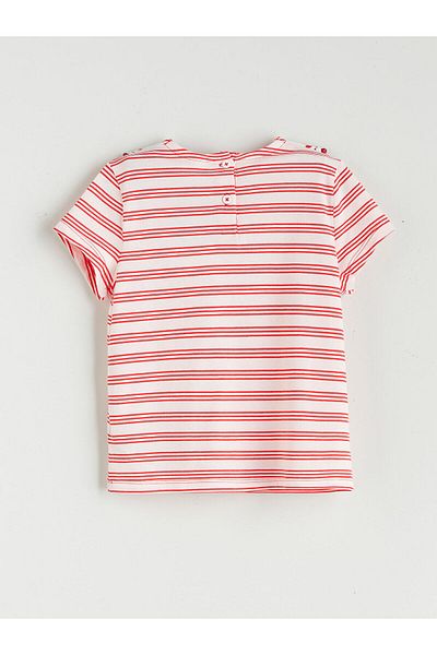 LC Waikiki Polo Neck Striped Girl's T-Shirt