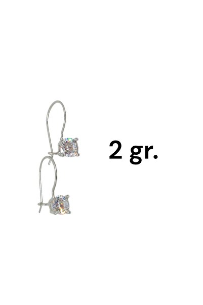 LUNEL Silver 925 Ayar Gümüş Kanca Model Tek Taş Küpe – Zarif ve Şık Tasarım