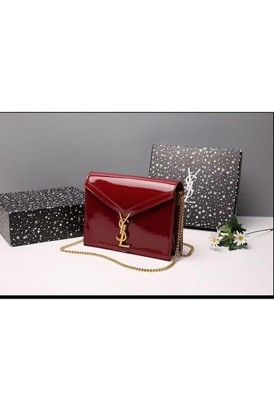 HABE YSL bag with a wonderful modern design
