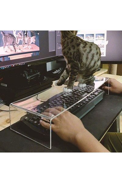 Pleksivent Keyboard Protection Box Stand – Blocker Transparent Box for Cats