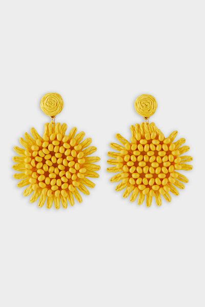 DeFacto Women's Yellow Straw Detailed Earrings F0838Axns