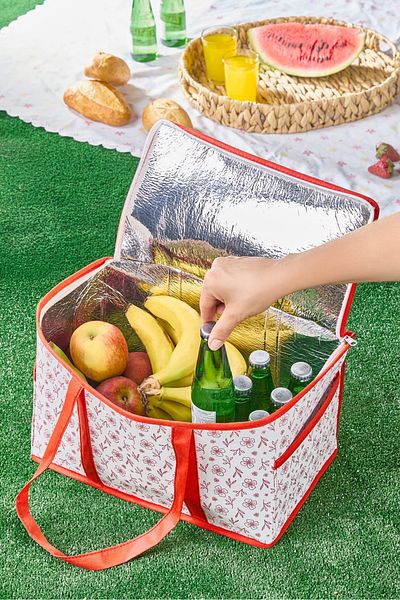 Serstil Small Size Thermal Picnic Bag |   Thermal Insulated Cooler Organizer Shopping Bag - 35X20X20 cm