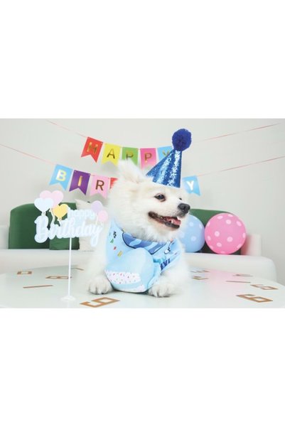 M-PETS مجموعة عيد ميلاد للكلاب الذكور من PARTY TIME