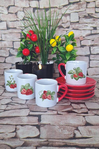 giftkonsept Strawberry Printed Red 4-Piece Porcelain Turkish Coffee Cup Set