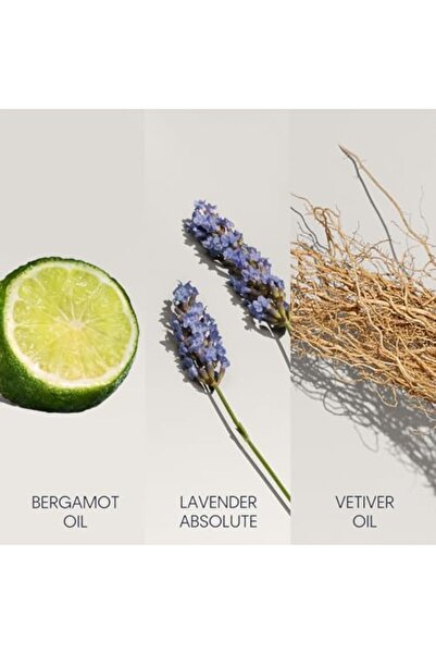 Calvin Klein Calvin Klein Defy Deodorant Stick for Men 75GM