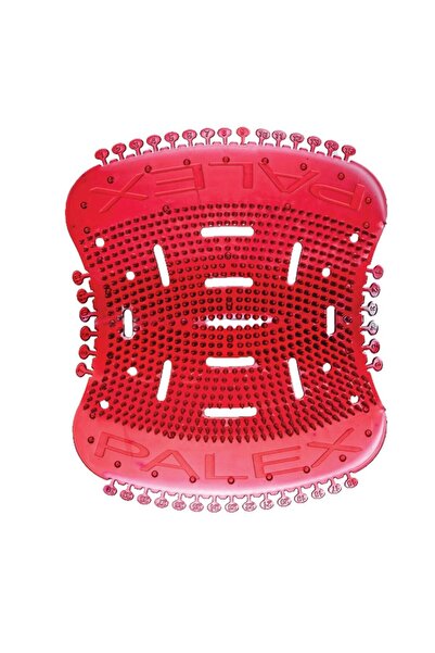 Palex Pisuvar Süzgeç Koku Giderici 30gün Parfüm Etkili