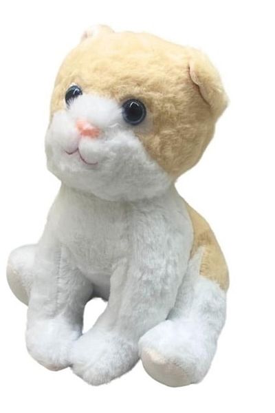 Dlyn Selay Sly-1469 Cat 25cm