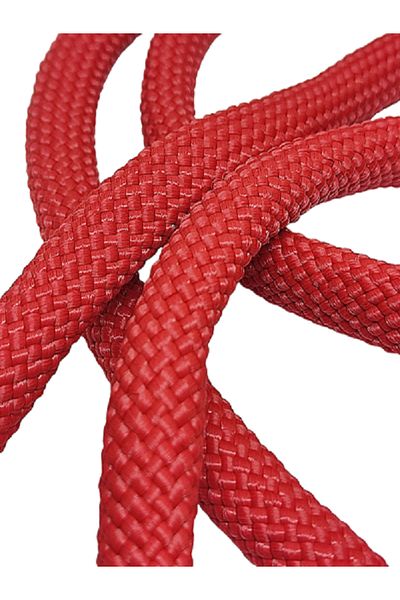 moonparacord Dog Walking Rope