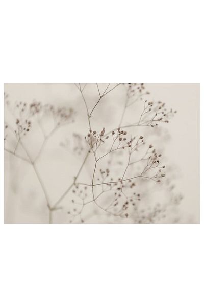 IKEA Picture, Closed Flowers, 140x100 cm