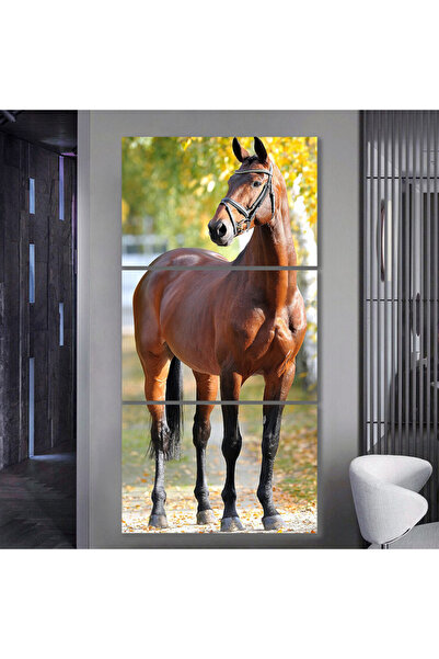 4gdran ثلاث لوحات قماشية بتصميم حصان مع برواز شامبين مجوف