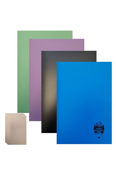 daço Student notebook Dictando (Romanian), A4, 4 notebooks /set, 60 sheets + 10 note cards