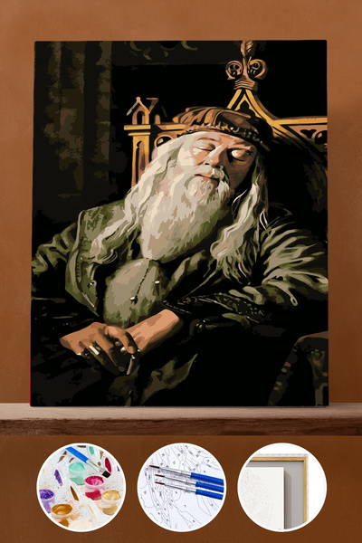 Pastelya Sayılarla Boyama Seti Çerçeveli Kasnaklı Dumbledore Uykusu 40x50 cm