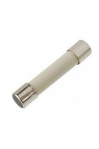 labshop41 Ceramic Fuse 20.0A 250V (6X30Mm) Fast X 1 Pcs (Rf012)