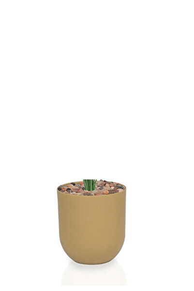 Generic Artificial Dark Heart Leaf Seedling (Alocasia 18 Branches) in a Plastic Cylinder Pot