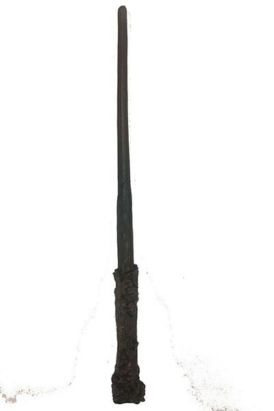VANCH Harry Potter Scepter and Black Framed Glasses Set