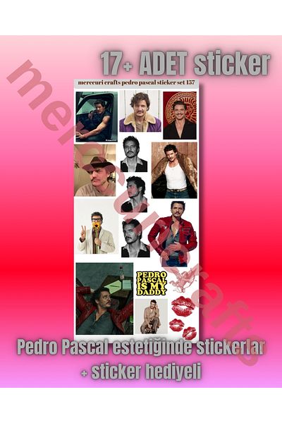 merccuri crafts Pedro Pascal Aesthetic Sticker (17+Pcs High Quality) - for Notebook Agenda, Laptop, Scrapbooking
