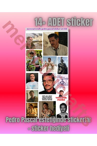 merccuri crafts Pedro Pascal Aesthetic Sticker (14+Pcs High Quality) - for Notebook Agenda, Laptop, Scrapbooking