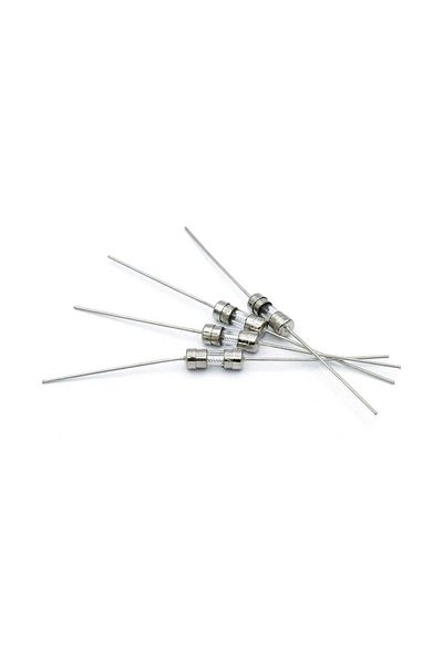 labshop41 T1.0A 3.6*10mm 250V Double Pins Fast Blow Glass Fuse X 1Pcs (Rf041)