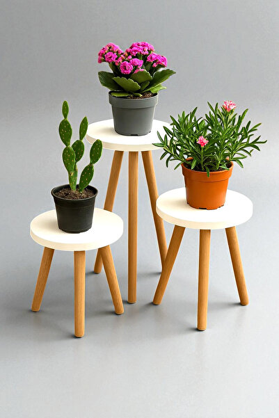 KAŞIKBEY 3'lü Ahşap Ayaklı Çiçeklik Saksılık Standı Dekoratif Çiçek Yan Sehpa...