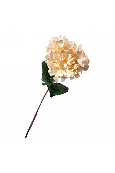 OEM Floare Artificială, Fir Hortensie, 60 Cm, Fildeș