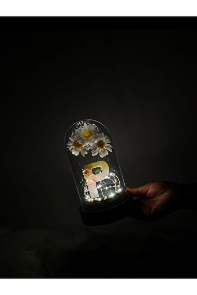 Kibele Sanat Dekoratif Ledli P Harfi, P Harfli Özel Papatya Çiçekli Teraryum ...