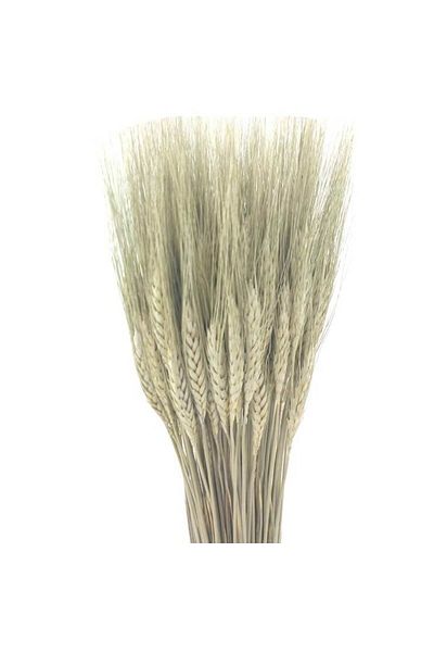 OEM Flori stabilizate, Spike de grâu, 50 de tulpini, 70 cm,