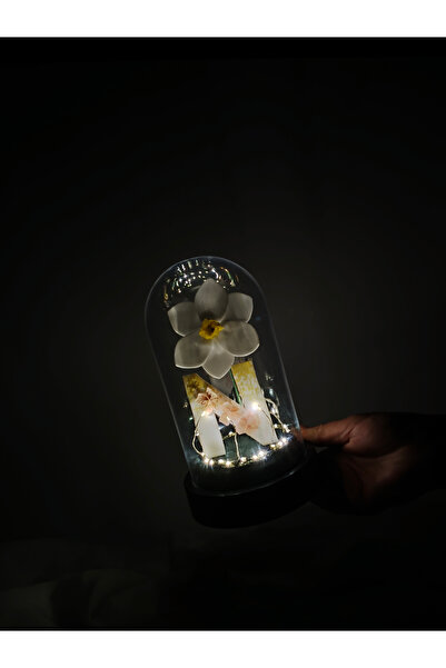 Kibele Sanat Dekoratif Ledli N Harfi, N Harfli Özel Nergis Çiçekli Teraryum F...