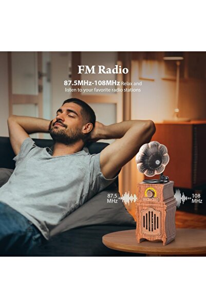 POLYGOLD VİNTAGE Ahşap Retro Bluetooth hoparlör, FM radyolu, şarj edilebilir kablosuz hoparlör,