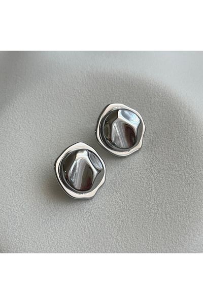 Arye Aksesuar Steel Earrings