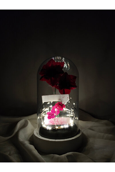 Kibele Sanat Dekoratif Ledli Z Harfi, Z Harfli Özel Zambak Çiçekli Teraryum F...