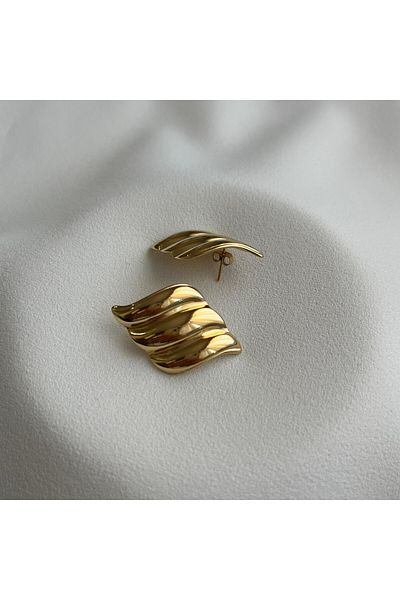 Arye Aksesuar Steel Earrings