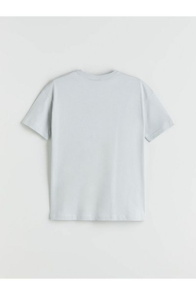 LC Waikiki Gray Crew Neck Boy's T-Shirt