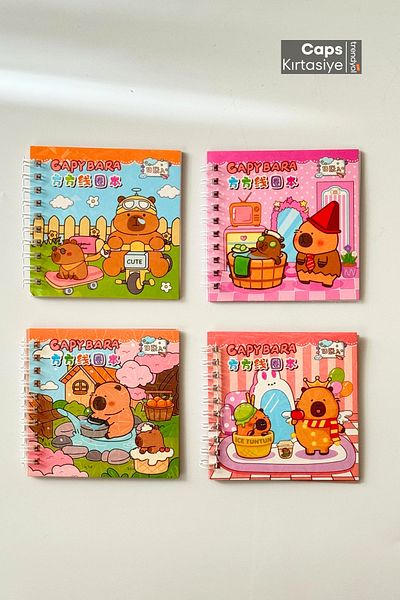 caps anlarınızı paylaştığınız ortağınız 2Pcs Capybara Themed Spiral Notepad and Sticker Set 120+ Transparent Stickers 48 Sheets Note Space