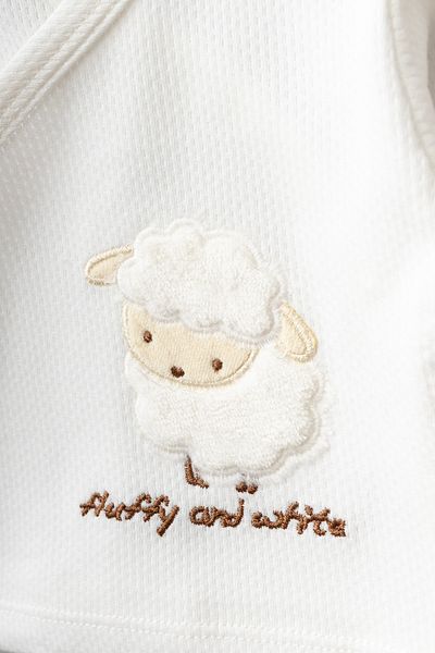 Bebitof Cute Lamb Patterned 10 Piece Boxed Newborn Hospital Release Bodysuit Set