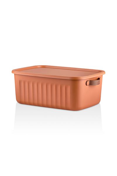 Frapan Home 3 Pieces 10 Lt Multi-Purpose Organizer Box with Lid Inside Cabinet Bathroom Kitchen Organizer