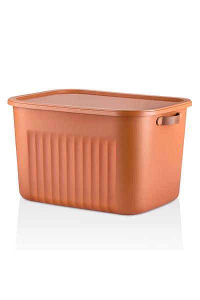 Frapan Home 3 Pieces 20 Lt Multi-Purpose Organizer Box with Lid Inside Cabinet Bathroom Kitchen Organizer