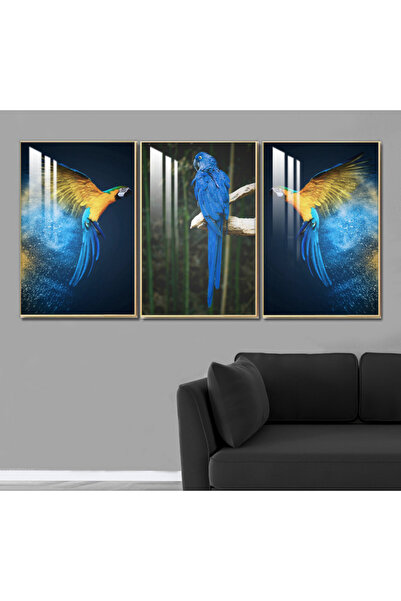 SND ثلاث لوحات جدارية خشبية مع برواز خشبي شامبين و طبقة من الاكريلك الشفاف