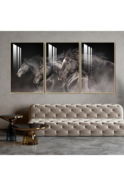 Marktna ثلاث لوحات جدارية خشبية مع برواز خشبي فضي و طبقة من الاكريلك الشفاف