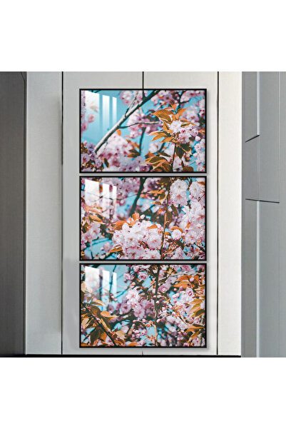 Marktna ثلاث لوحات جدارية خشبية مع برواز خشبي اسود و طبقة من الاكريلك الشفاف